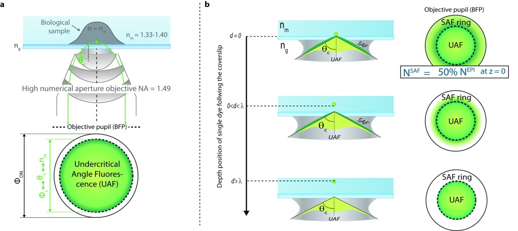 Figure1 : supercritical angle fluorescence (SAF) emission principle